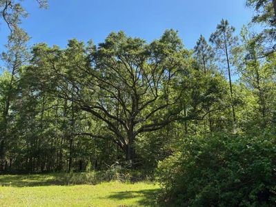 362 Freddie Whiddon Rd, Webb, AL, 36376