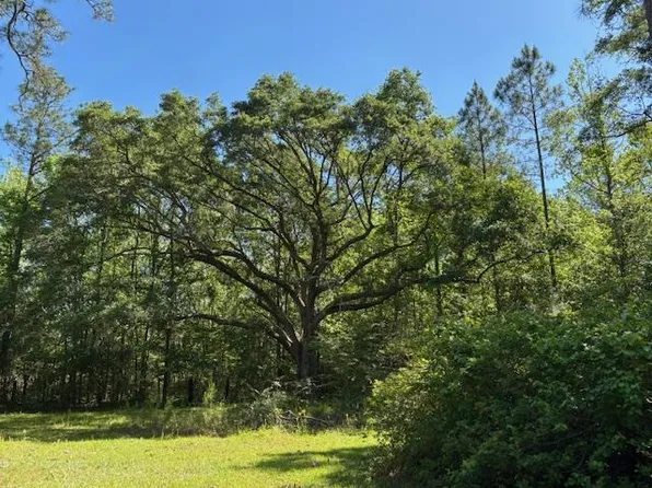 362 Freddie Whiddon Rd, Webb, AL 36376