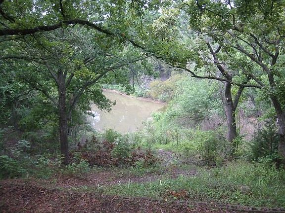 Cove view from the deck