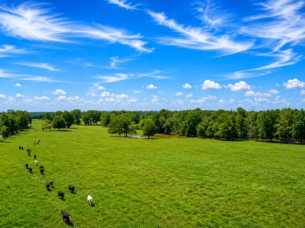 County Road 44700, Blossom, TX 75416