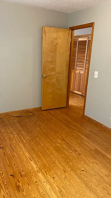 1 bed, $900 — Photo 3