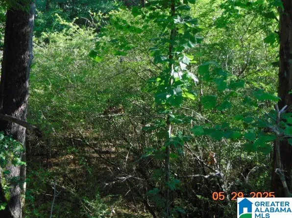 0 Onrow Tubbs Rd #1, Marion, AL 36756