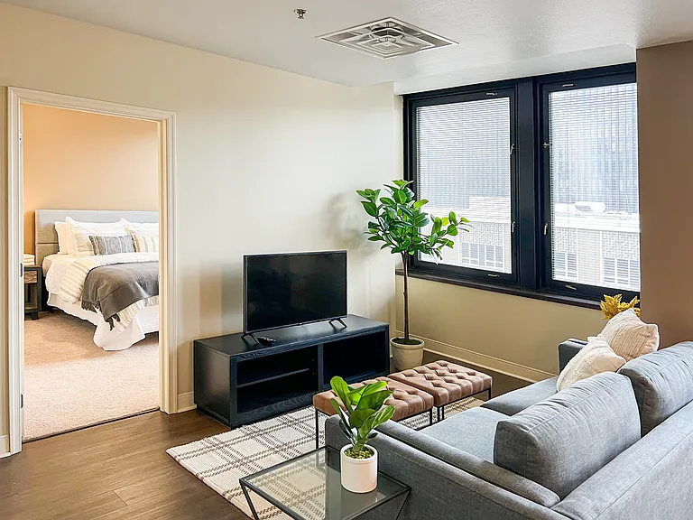 Living Area and Bedroom