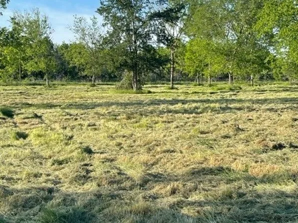 LOT County Road 2385 #B, Wortham, TX 76693