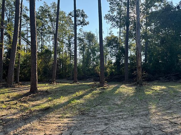 4th image of Dido Loop Lot Wp003