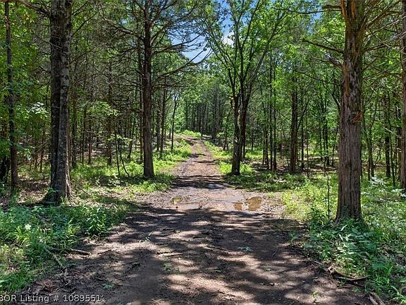 5th image of TRACT 3 Benson Ln