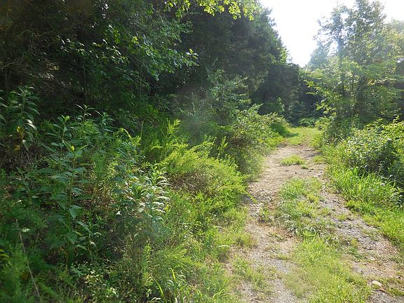 3rd image of Camp Discovery Ln