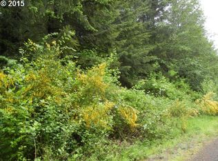 22 Tara Ln, Vader, WA 98593