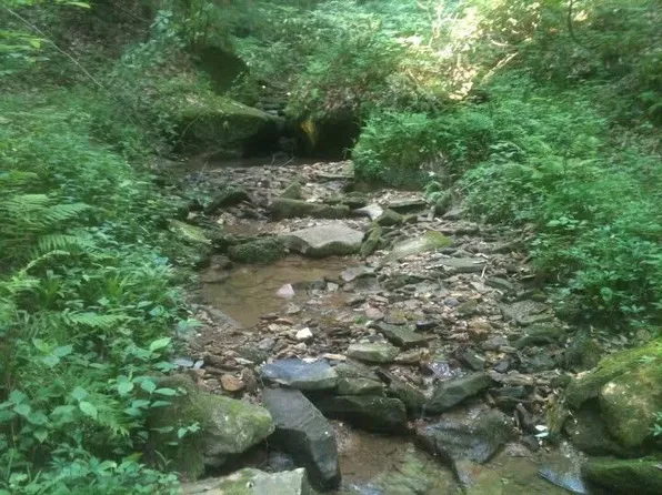 9999 Spruce Creek Rd, Corbin, KY 40701