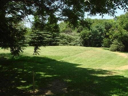 2nd image of 4 Ash Bluff Ln