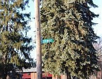 4th image of 1471 Stewart Ave