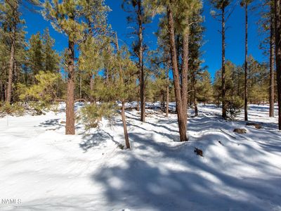 7889 E Long Bow Dr #83, Williams, AZ, 86046