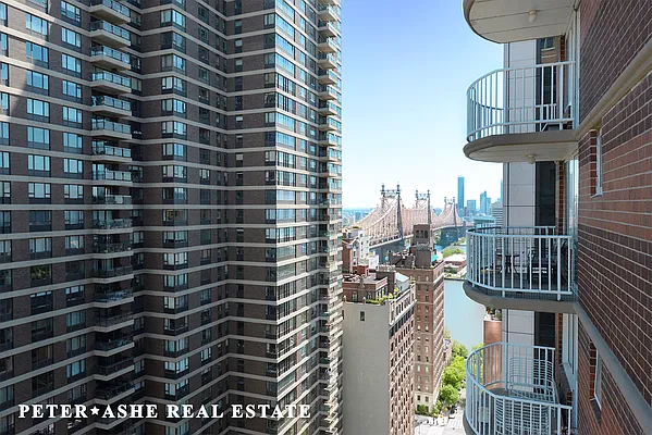 Sold by Peter Ashe | media 20