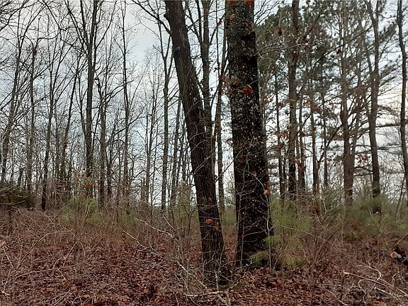2nd image of Rockhill Ln #21