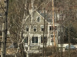 4-3 Alpine Ct, Sunapee, NH 03782