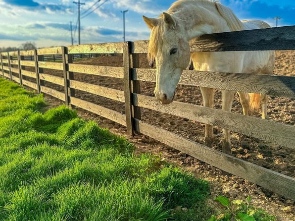 6500 Mount Washington Rd, Taylorsville, KY 40071