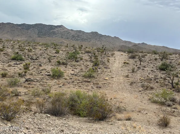 000 N Mohave Drive #48, Dolan Springs, AZ 86441