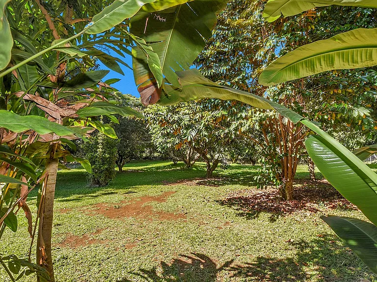 Tropical 3 Bedroom Retreat on Coffee Farm in Kealakekua — Photo 5