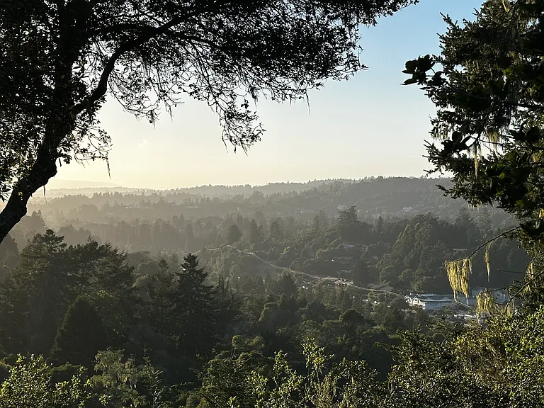 812 Loma Prieta Dr — Photo 14