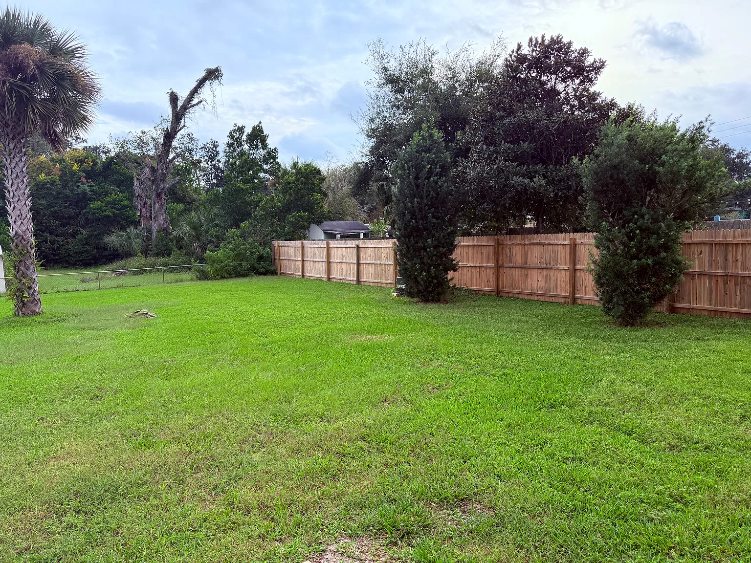 3 bed, 1000 sqft, $2,450 — Photo 4