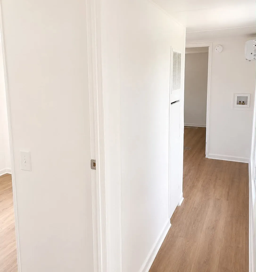 2 bed, 800 sqft, $1,000 — Photo 3
