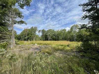 135 Hinckley Ridge Road, Blue Hill, ME, 04614