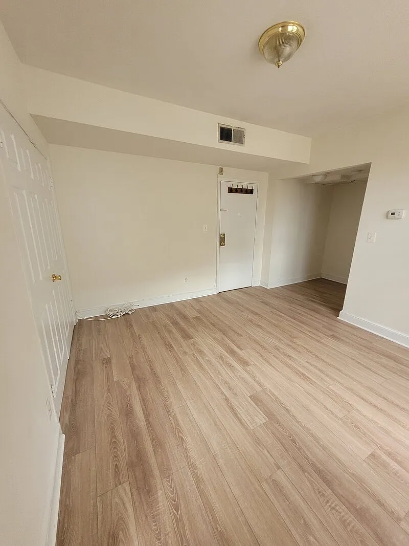 Studio, 273 sqft, $1,375 — Photo 3