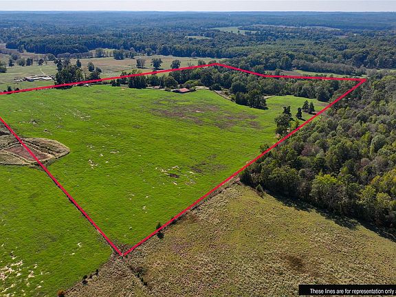 3rd image of 10736 Muskrat Rd