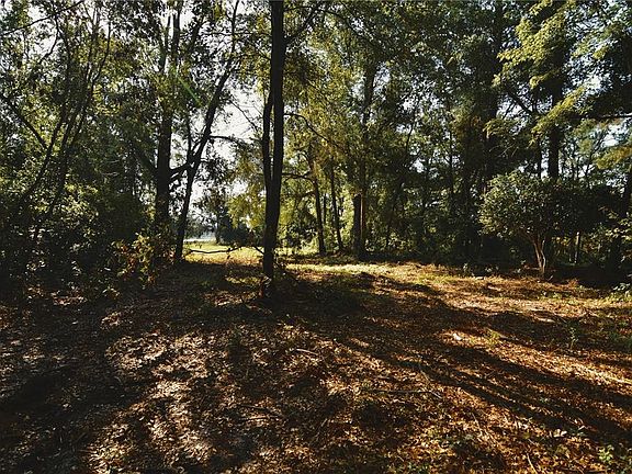 4th image of 00 HALL LAKE ROAD LOT 11