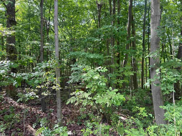 0 Burton Rd, Capac, MI 48014