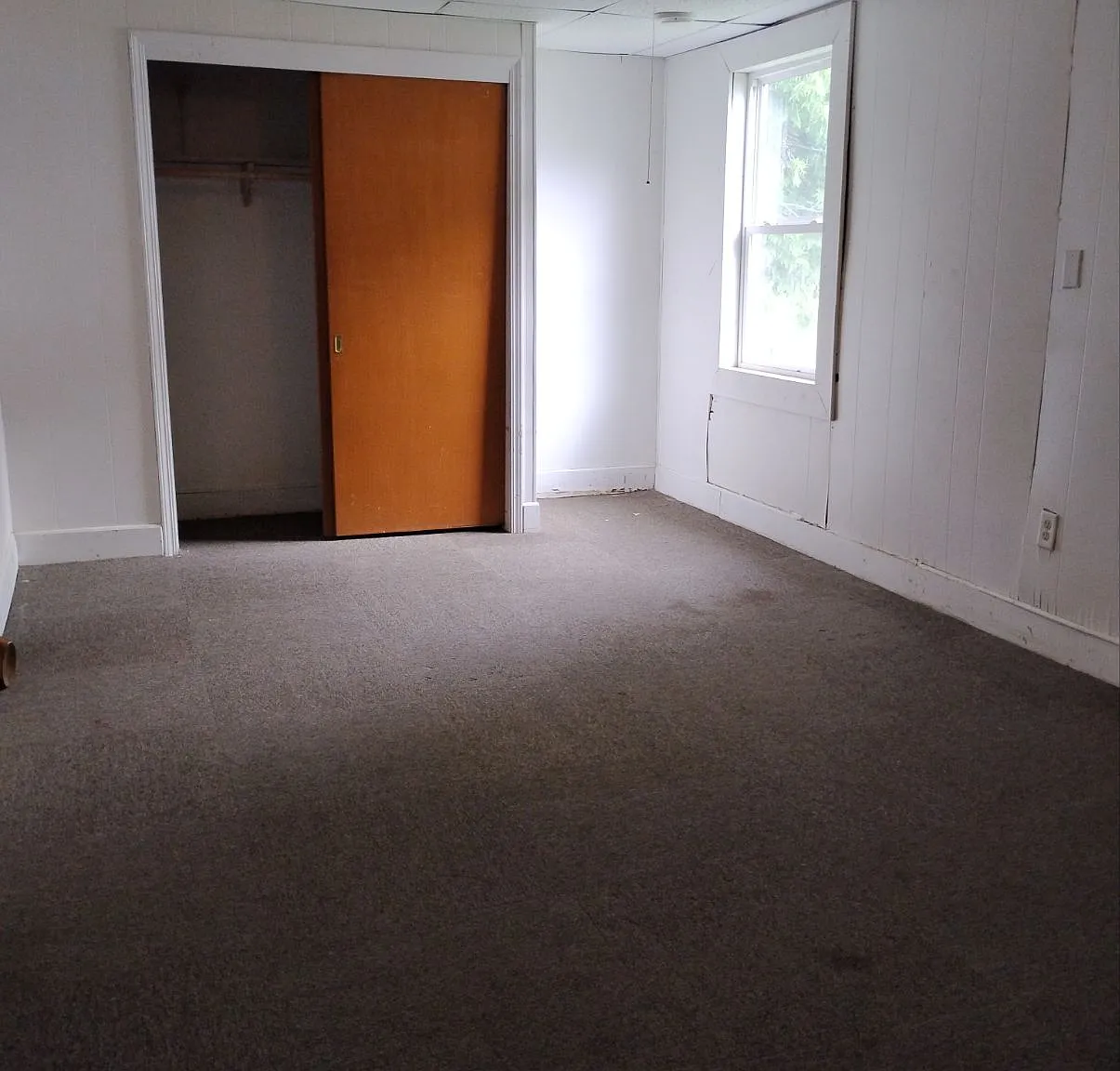 1 bed, $199 — Photo 4