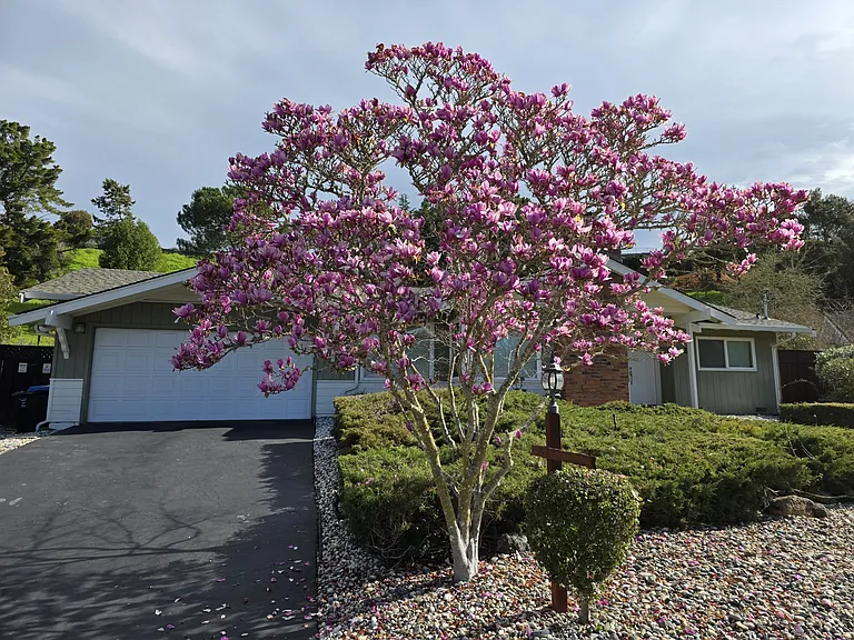 29 Thorndale Pl — Photo 35