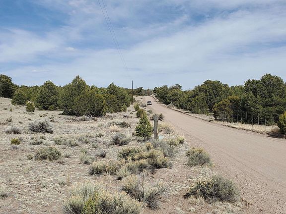 2nd image of Pine Rd