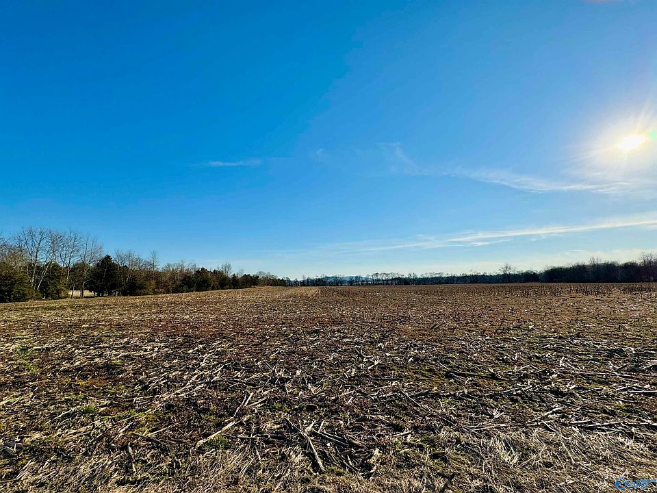 2nd image of 9A Moe Rd