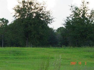 2nd image of 18145 County Road 132