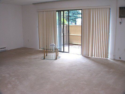 Large Living Room