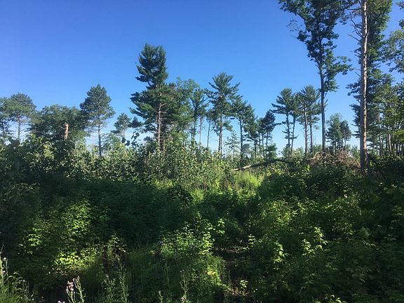4th image of Camp Lincoln Rd