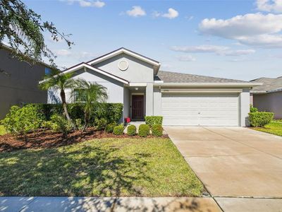10946 Rainbow Pyrite Dr, Wimauma, FL, 33598