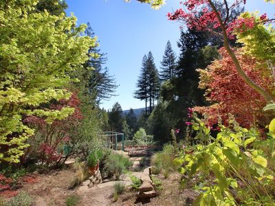 811 Elsie Mae Dr, Boulder Creek, CA, 95006