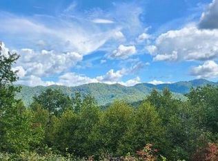 LOT 31 Fontana Lake Dr, Bryson City, NC 28713