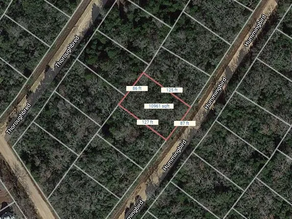 LOT 24 Hummingbird, Normangee, TX 77871