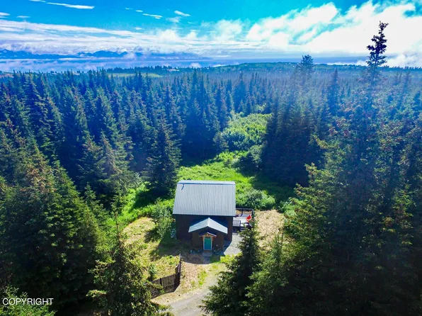 41237 Heather St, Homer, AK 99603