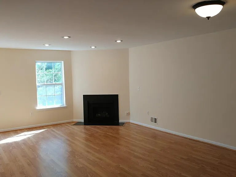 Living Room - Picture 1