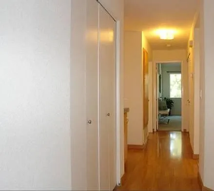 Wood Floors
