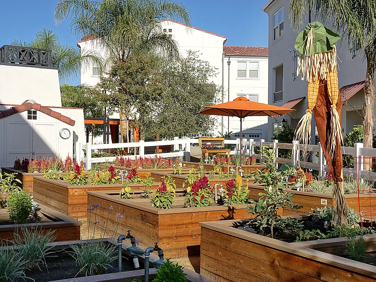 Santa Barbara At Rancho Cucamonga — Photo 11
