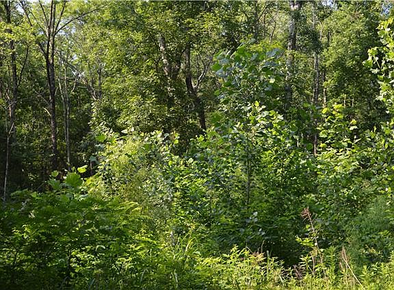 4th image of 613 Gay Winds Dr Lot 87