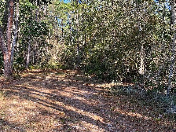 2nd image of O'Ferncreek Trl