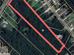 4645 Spout Springs Rd, Buford, GA 30519