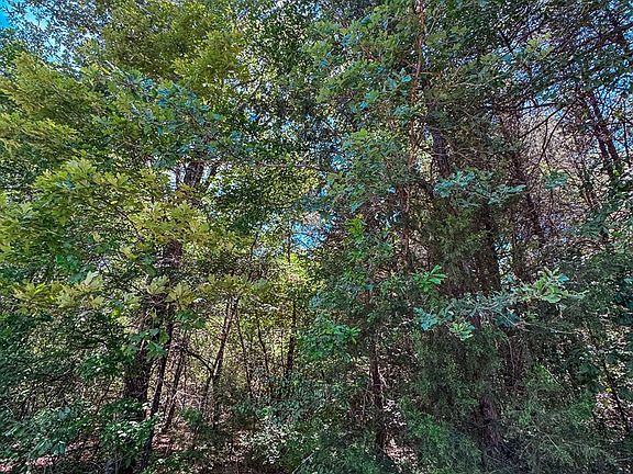 3rd image of An County Rd #2608