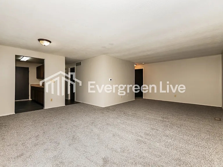8787 Mardi Gras Dr — Photo 5